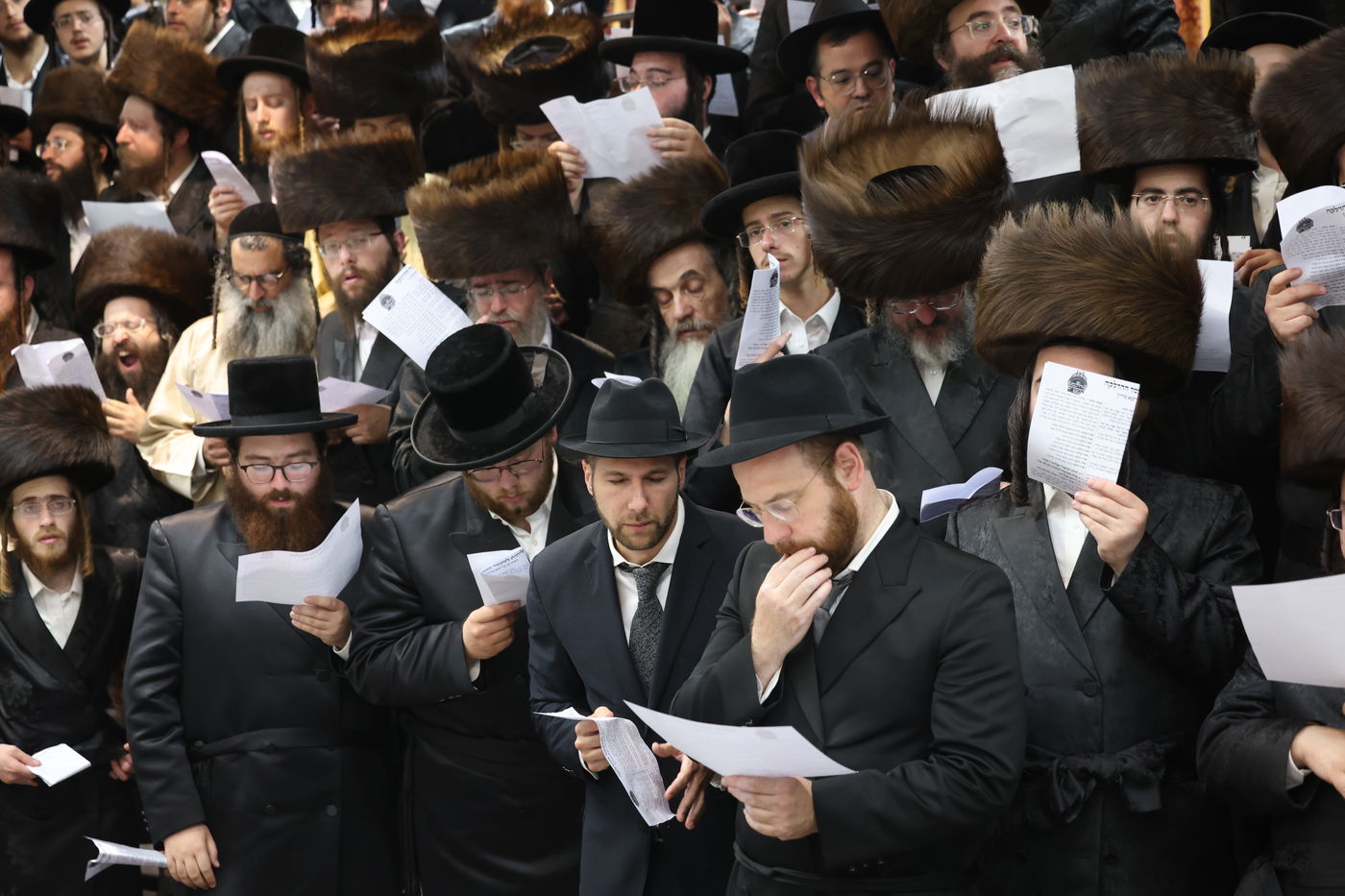 הרה"צ רבי אלימלך בידרמן שבת במירון