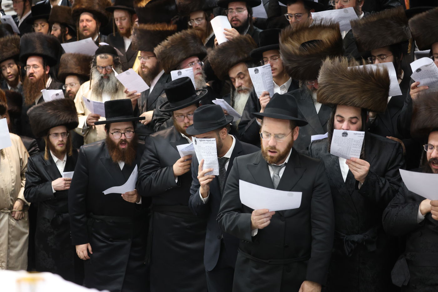 הרה"צ רבי אלימלך בידרמן שבת במירון