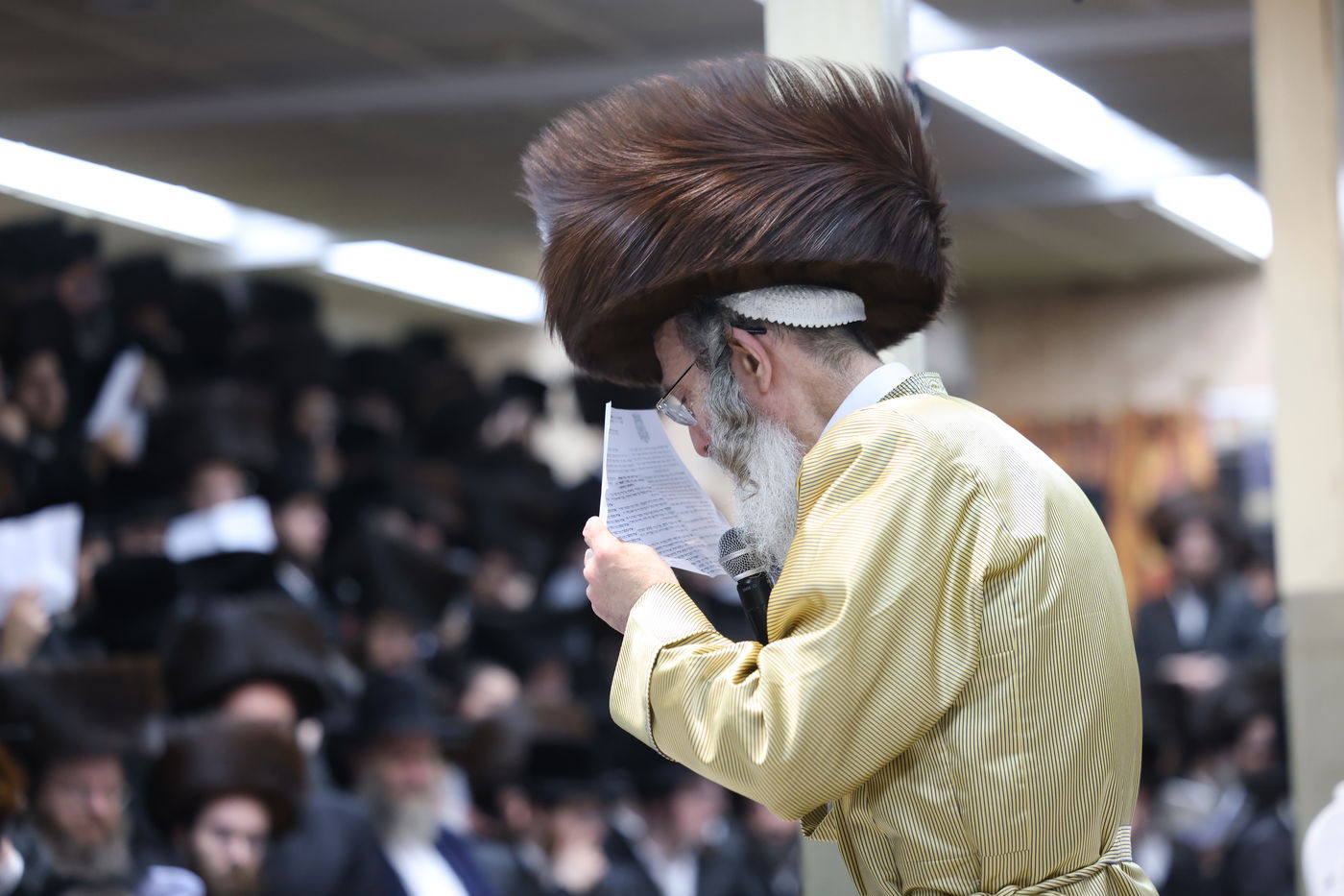 הרה"צ רבי אלימלך בידרמן שבת במירון