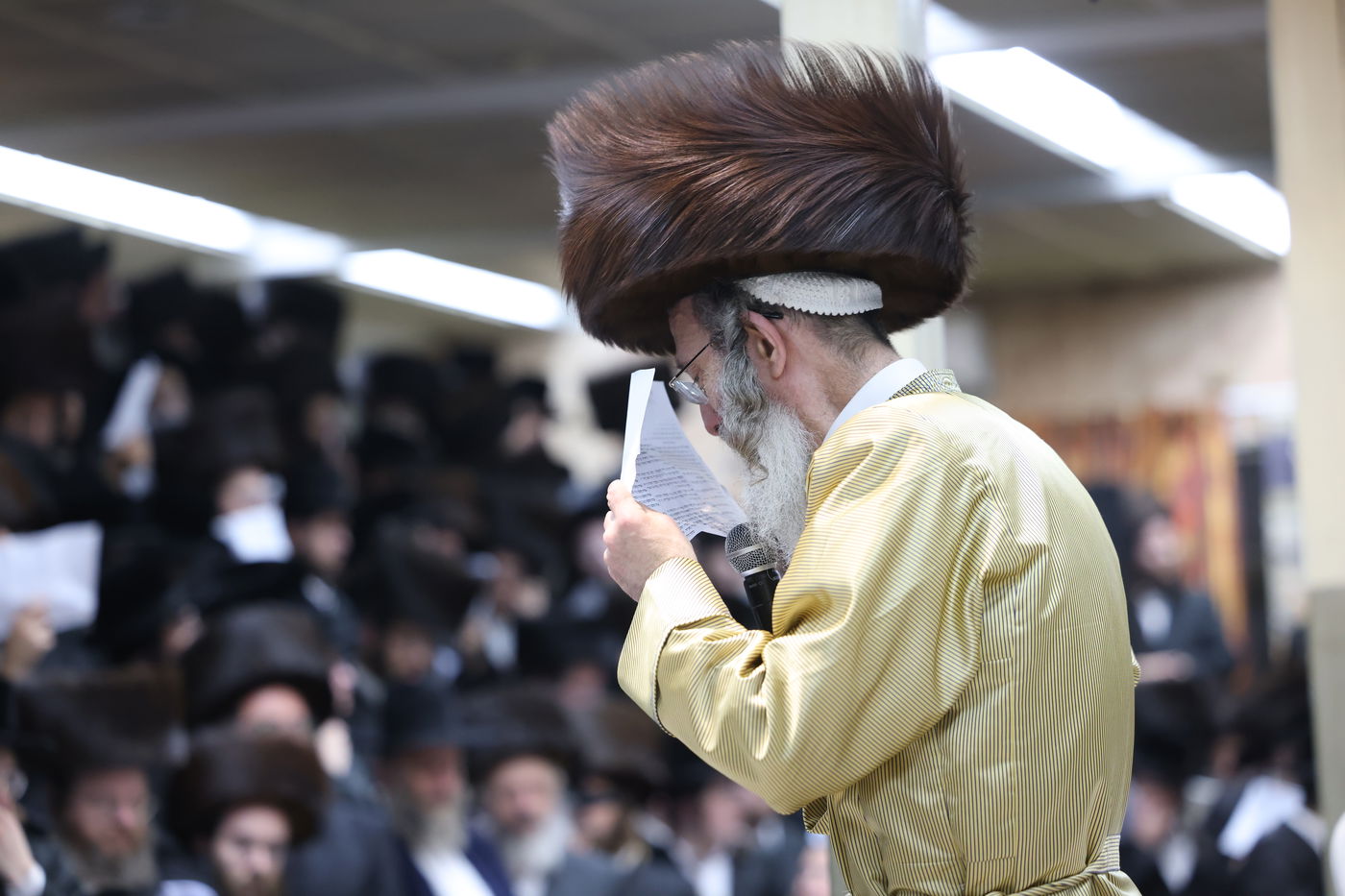 הרה"צ רבי אלימלך בידרמן שבת במירון