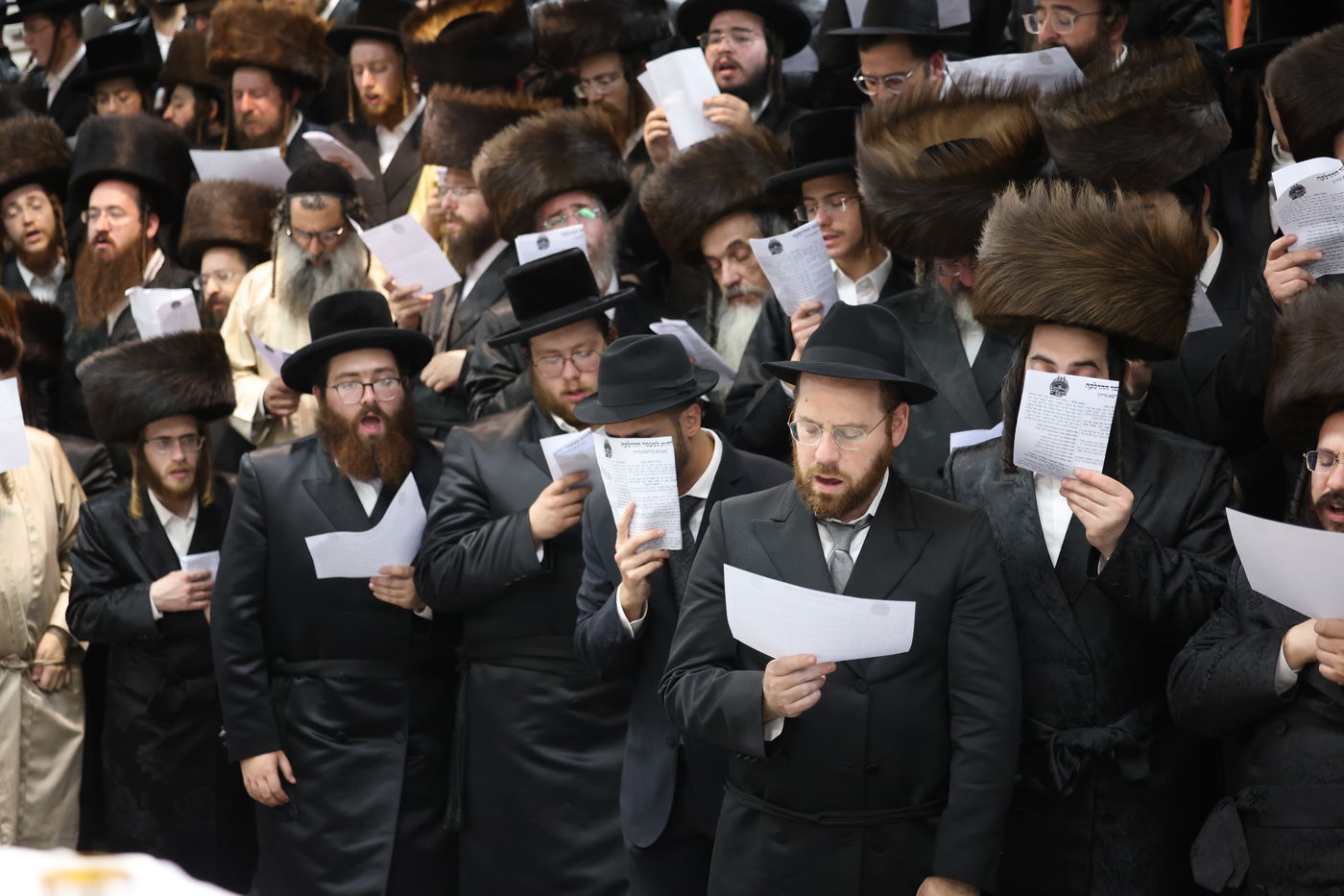 הרה"צ רבי אלימלך בידרמן שבת במירון