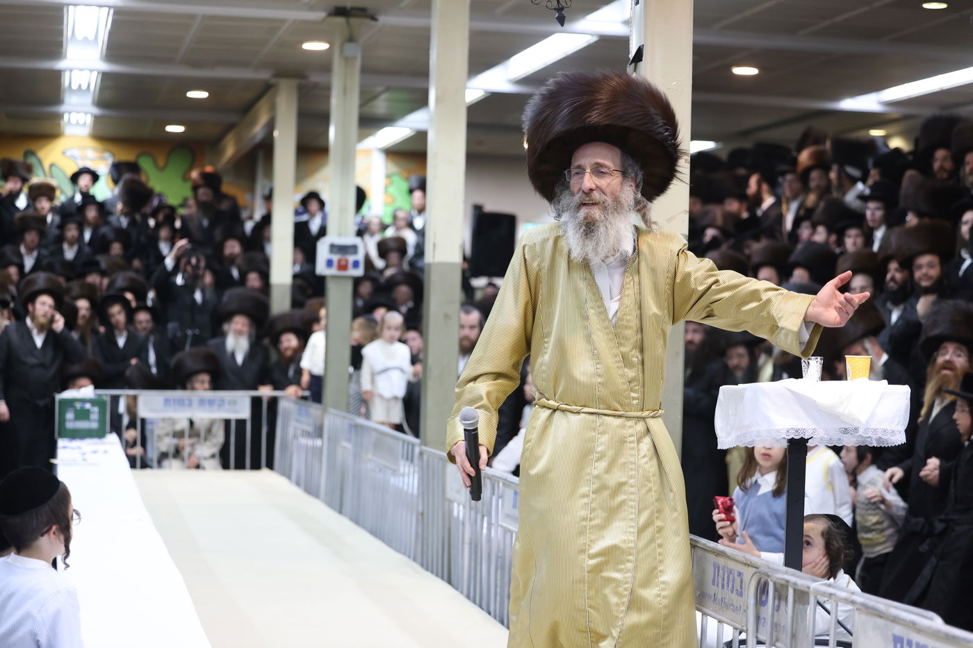 הרה"צ רבי אלימלך בידרמן שבת במירון