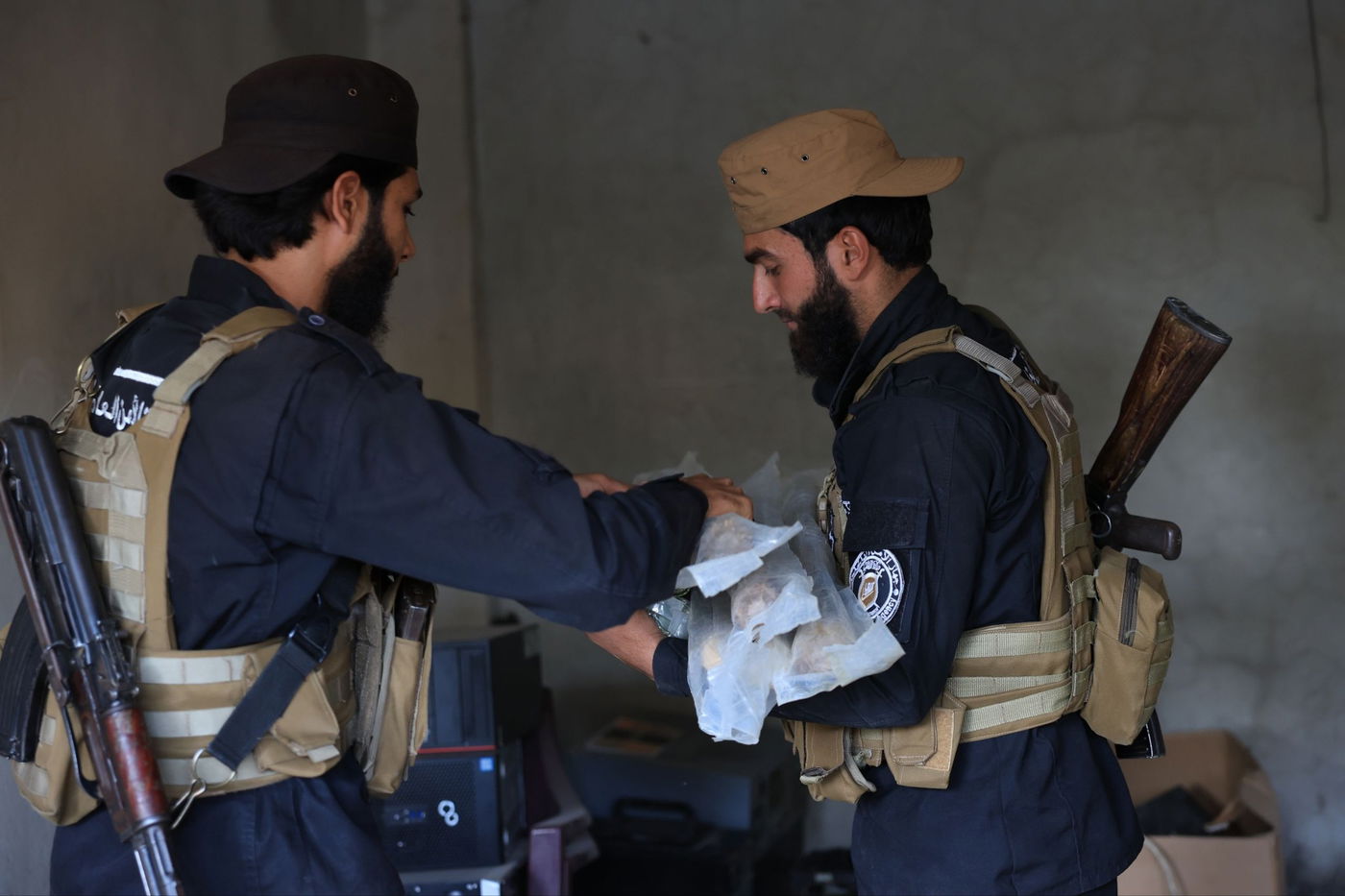 תפיסת כלי הנשק של החולייה