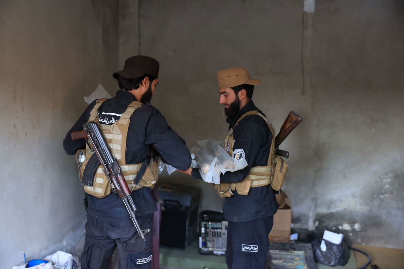 תפיסת כלי הנשק של החולייה