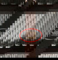 המודעה הנוסטלגית בסאטמר