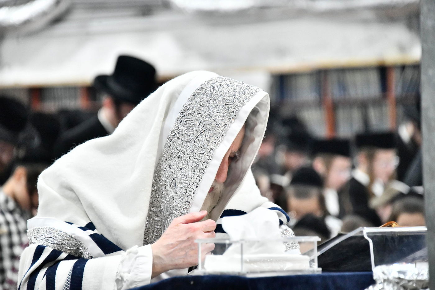 סליחות ראשונות בחצה"ק מכנובקא בעלזא