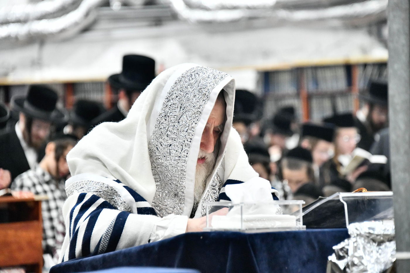 סליחות ראשונות בחצה"ק מכנובקא בעלזא