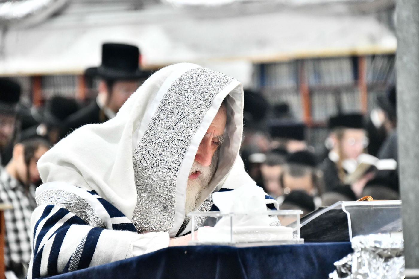 סליחות ראשונות בחצה"ק מכנובקא בעלזא