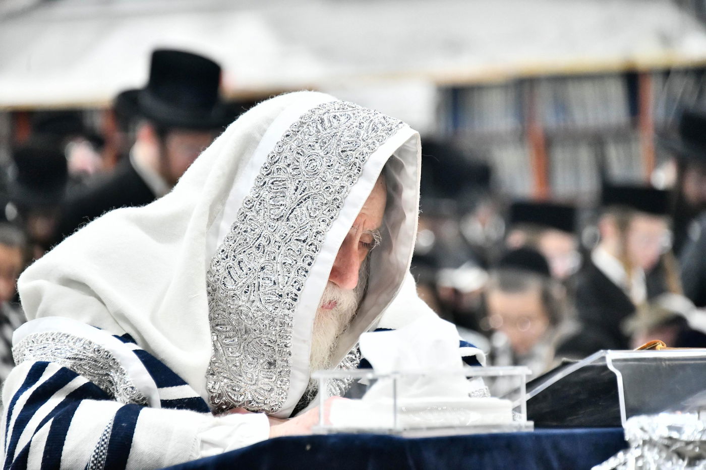 סליחות ראשונות בחצה"ק מכנובקא בעלזא