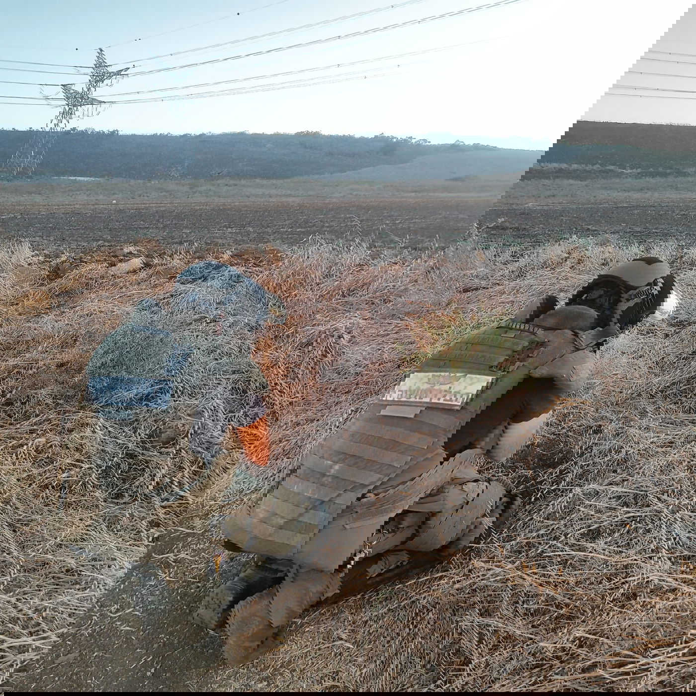 נטרול אמל"ח