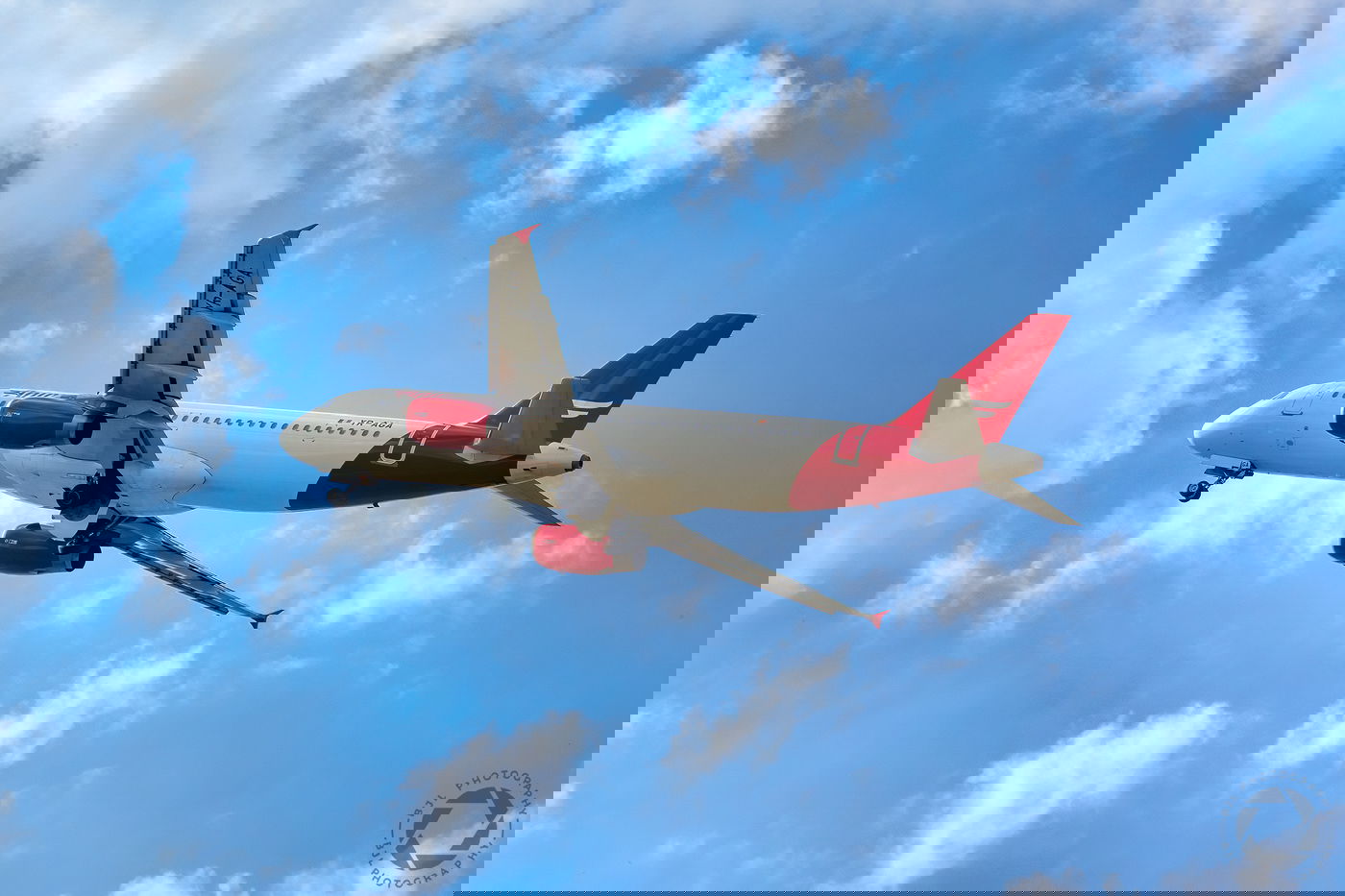 מטוס של חברת AnimaWings