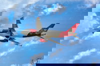 מטוס של חברת AnimaWings 