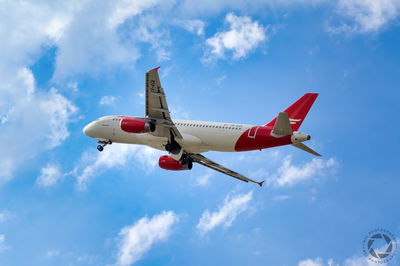 מטוס של חברת AnimaWings 