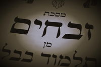 הדף היומי: מס' זבחים דף צ"א יום ראשון כ"ד בכסלו