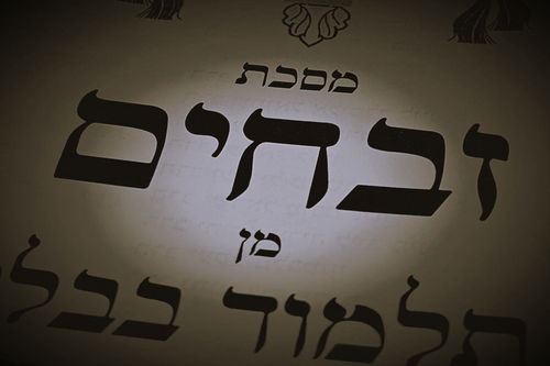 הדף היומי: מס' זבחים דף קי"ב יום ראשון ט"ו בטבת