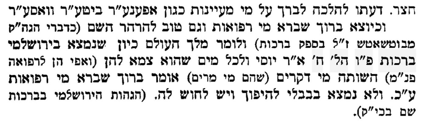 דברי הרבי  ממונקאטש דרכי ב'דרכי חיים ושלום' עמ' צא