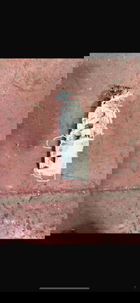 המטען המאולתר