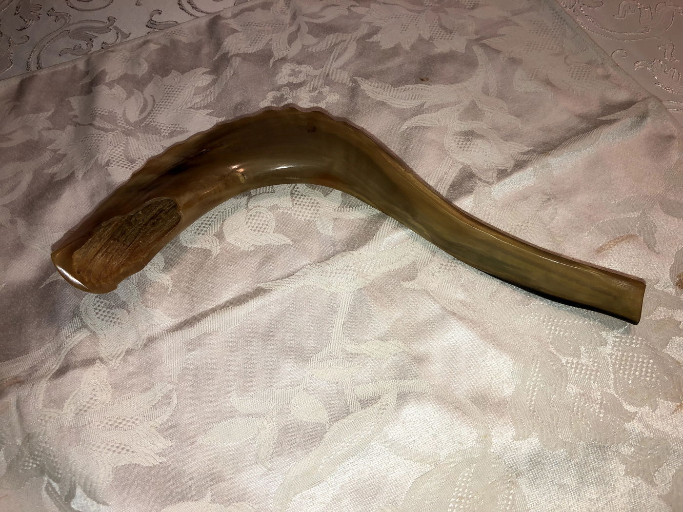 השופר מאביו של הרבי