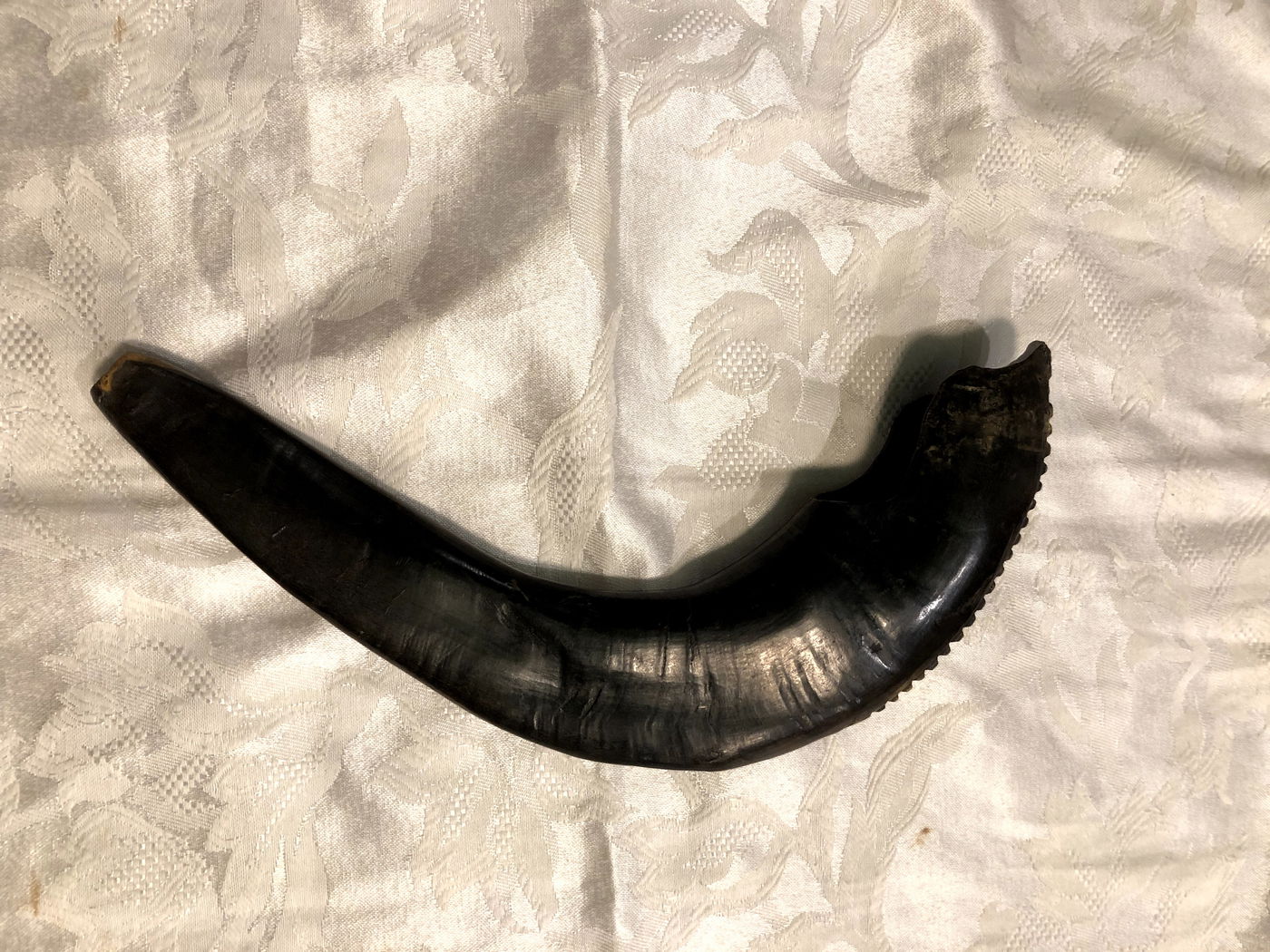 השופר השחור של "המהר"ש"