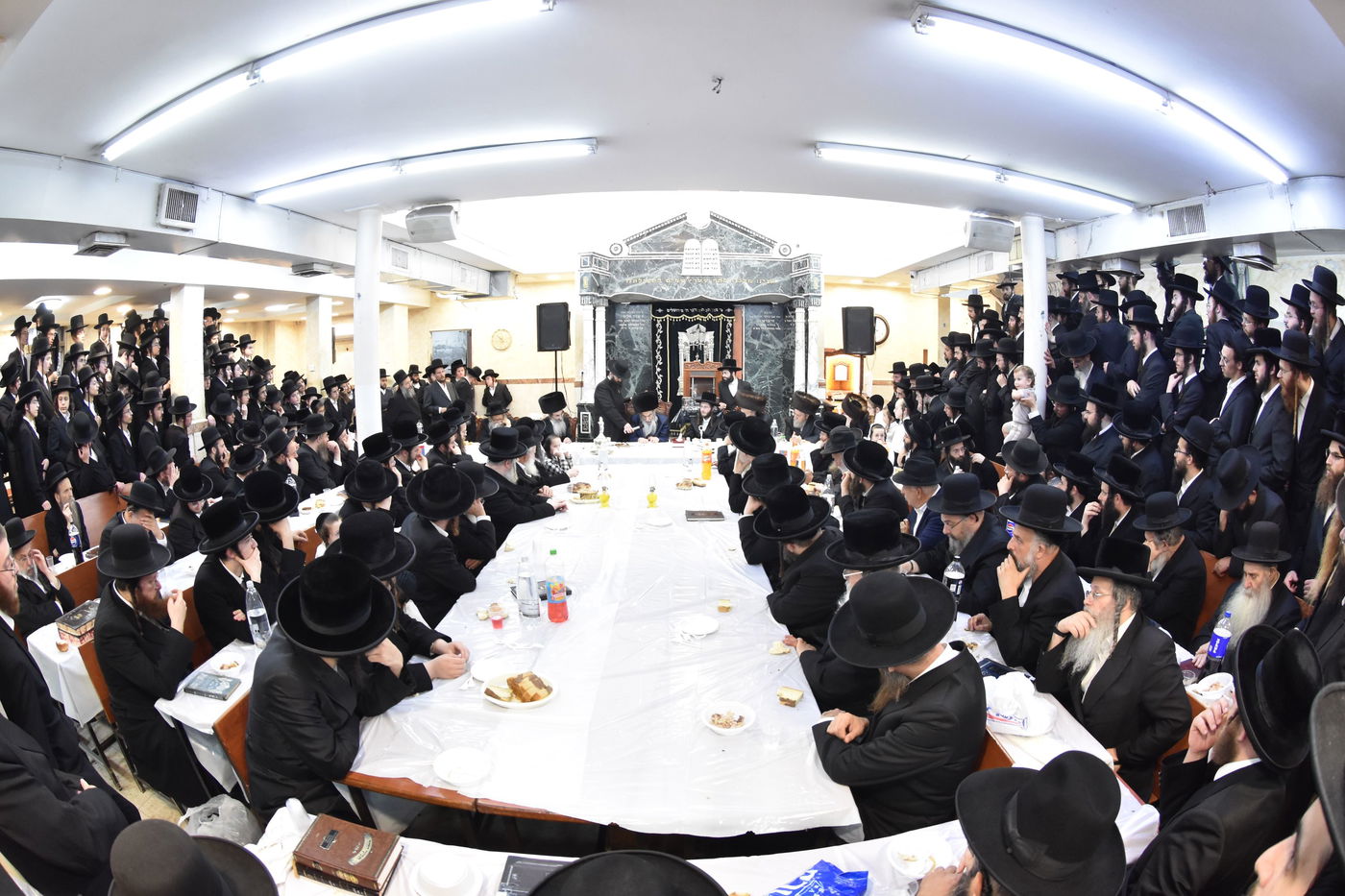 הילולא קדישא באלכסנדר