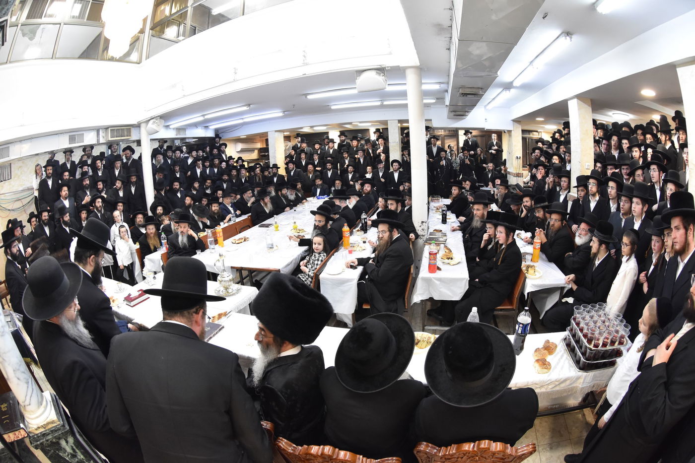 הילולא קדישא באלכסנדר