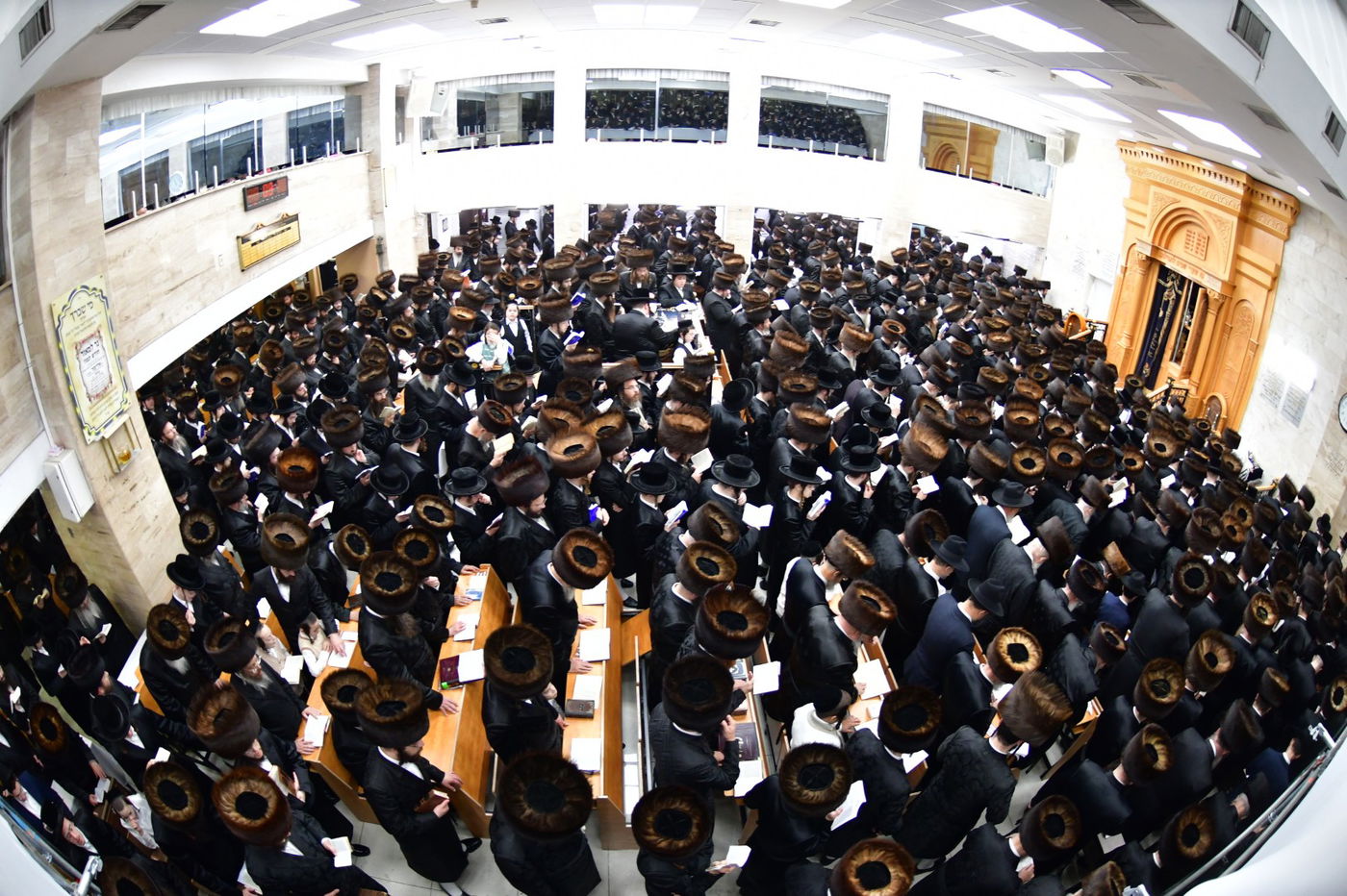 סליחות ראשונות בחצה"ק סערט ויז'ניץ