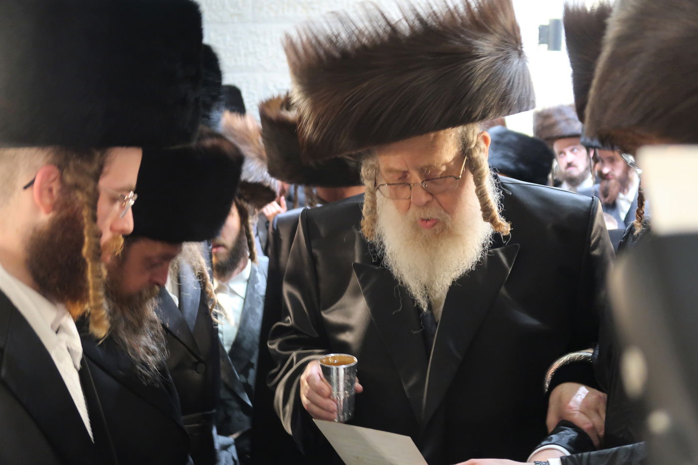 שמחת בית קוזמיר - קאמרנא ארזי הבירה - אמשינוב ארה"ב - זווהעיל 