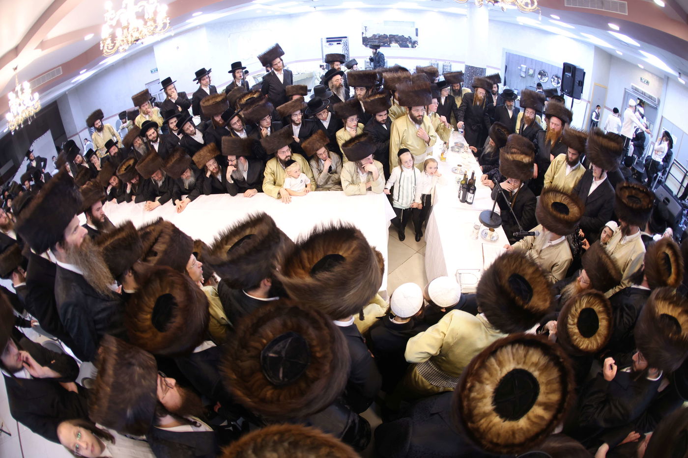 שמחת בית וויטעפסק - סערעדנא - קאסוב ירושלים