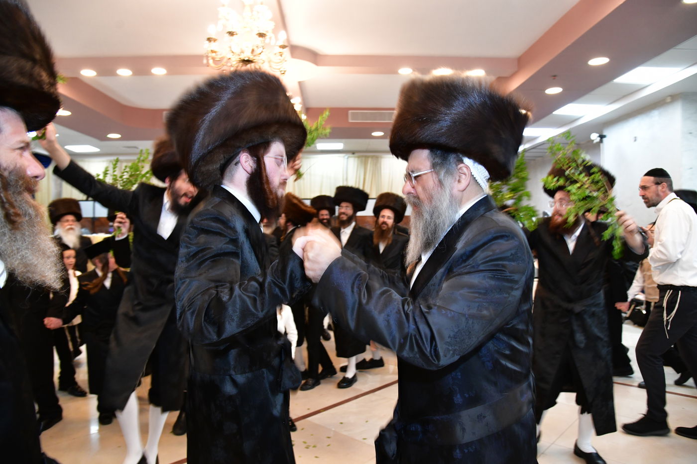 שמחת נישואי בן אב"ד מירון עם נכדת האדמו"ר מלעלוב ניקלשבורג