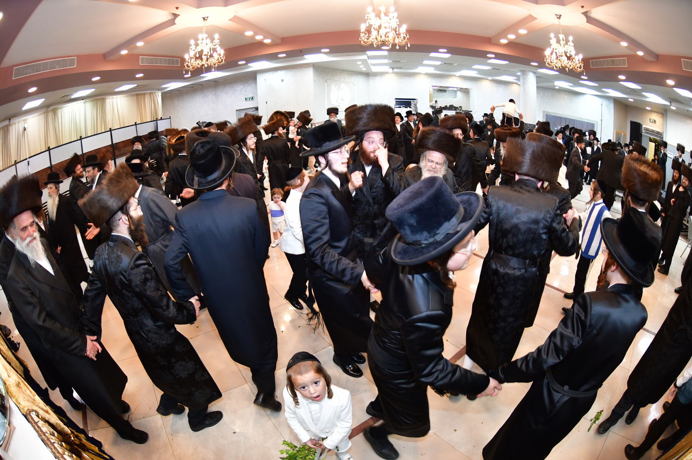 שמחת נישואי בן אב"ד מירון עם נכדת האדמו"ר מלעלוב ניקלשבורג