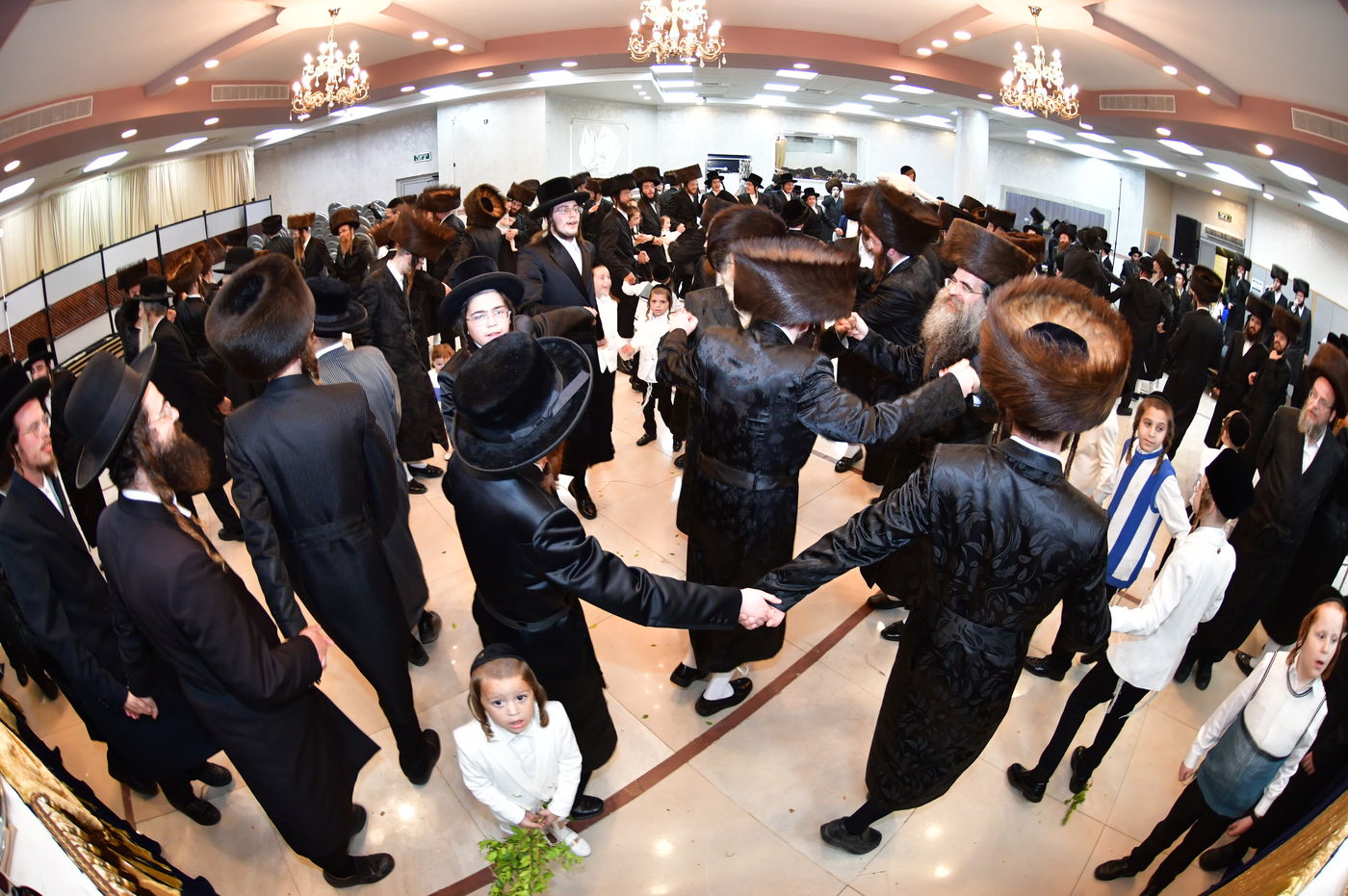 שמחת נישואי בן אב"ד מירון עם נכדת האדמו"ר מלעלוב ניקלשבורג