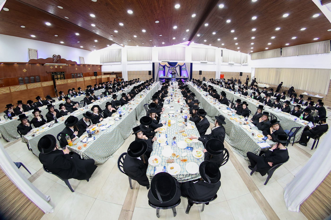 כינוס ממליכים באהבה