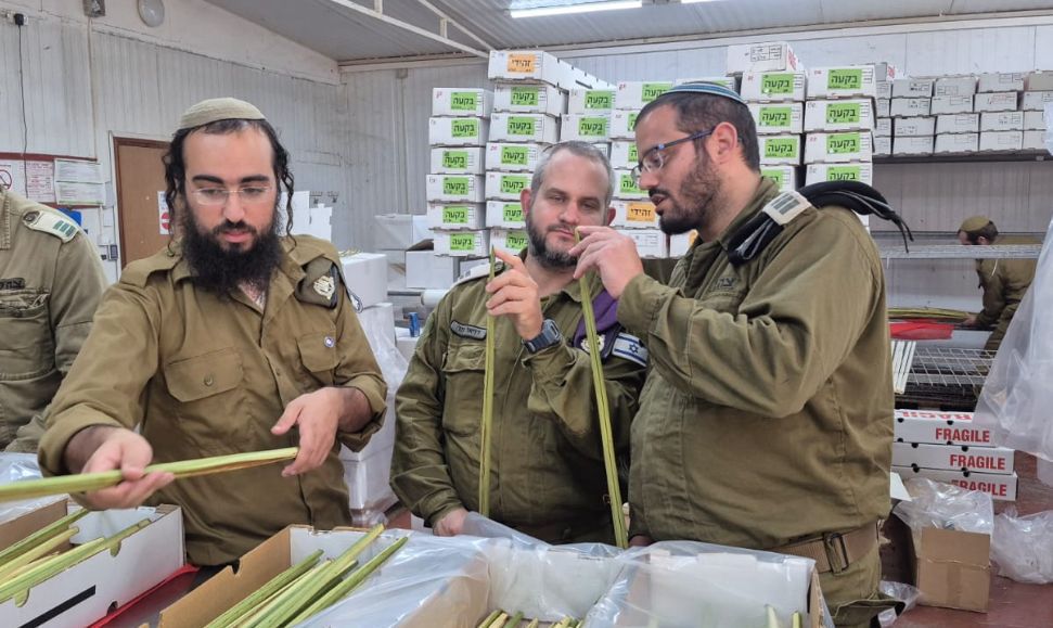 'סוכות טקטיות' ואלפי שופרות: כך מתכונן צה"ל לחגי תשרי בצל המלחמה