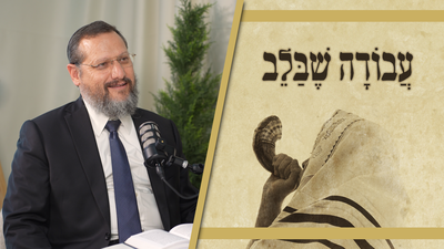 ראש הישיבה מספר על ניגון לוחמי הפלמ"ח ופורץ בבכי | סיפורו של הבן דוד הק' שנפל בשמחת תורה