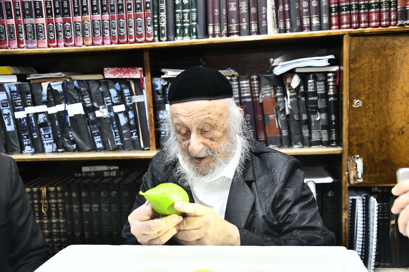 הגאון רבי ברוך דב פוברסקי בבדיקת אתרוגים