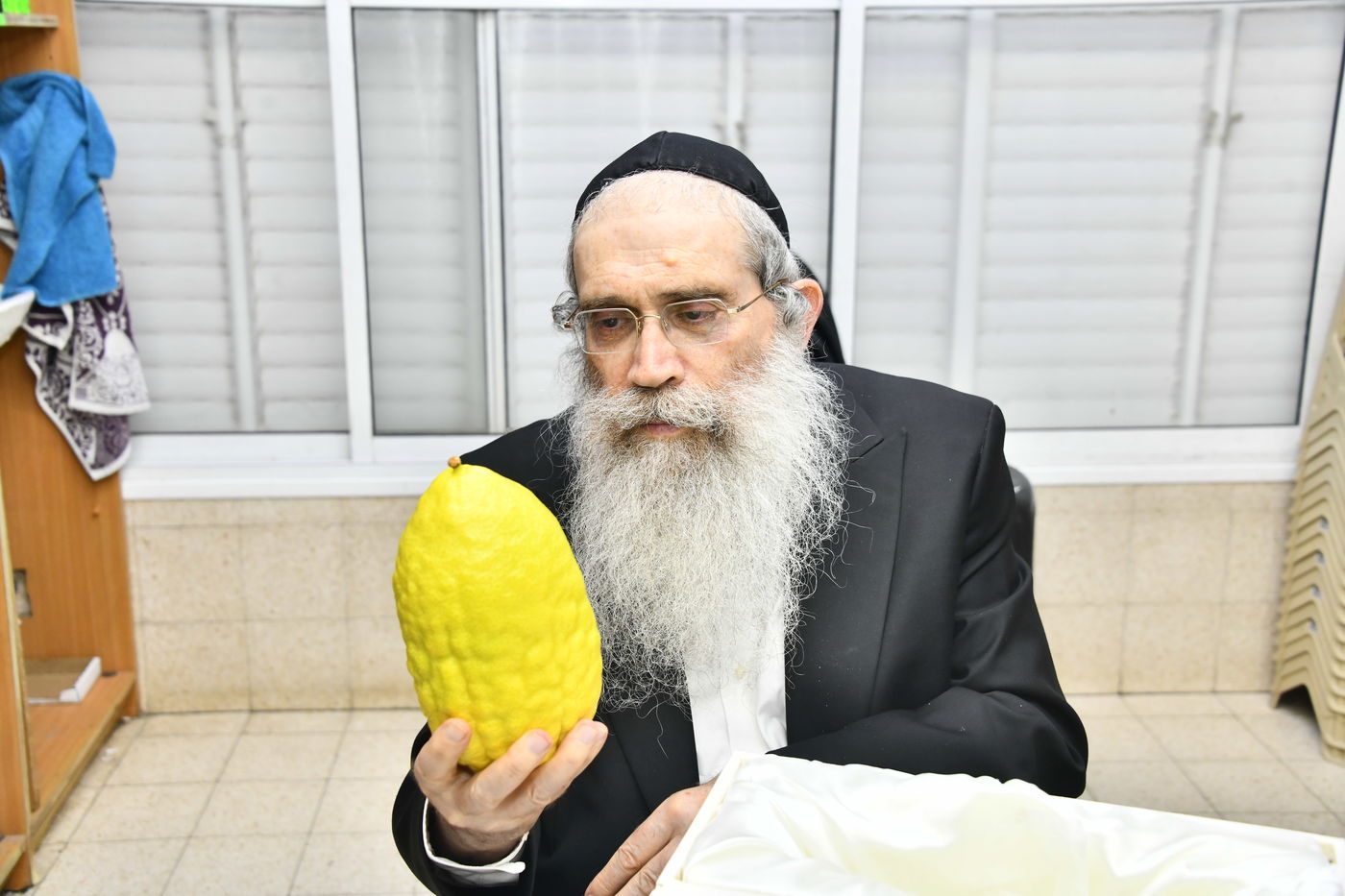 הגאון רבי שרגא שטיינמן בבדיקת אתרוגים