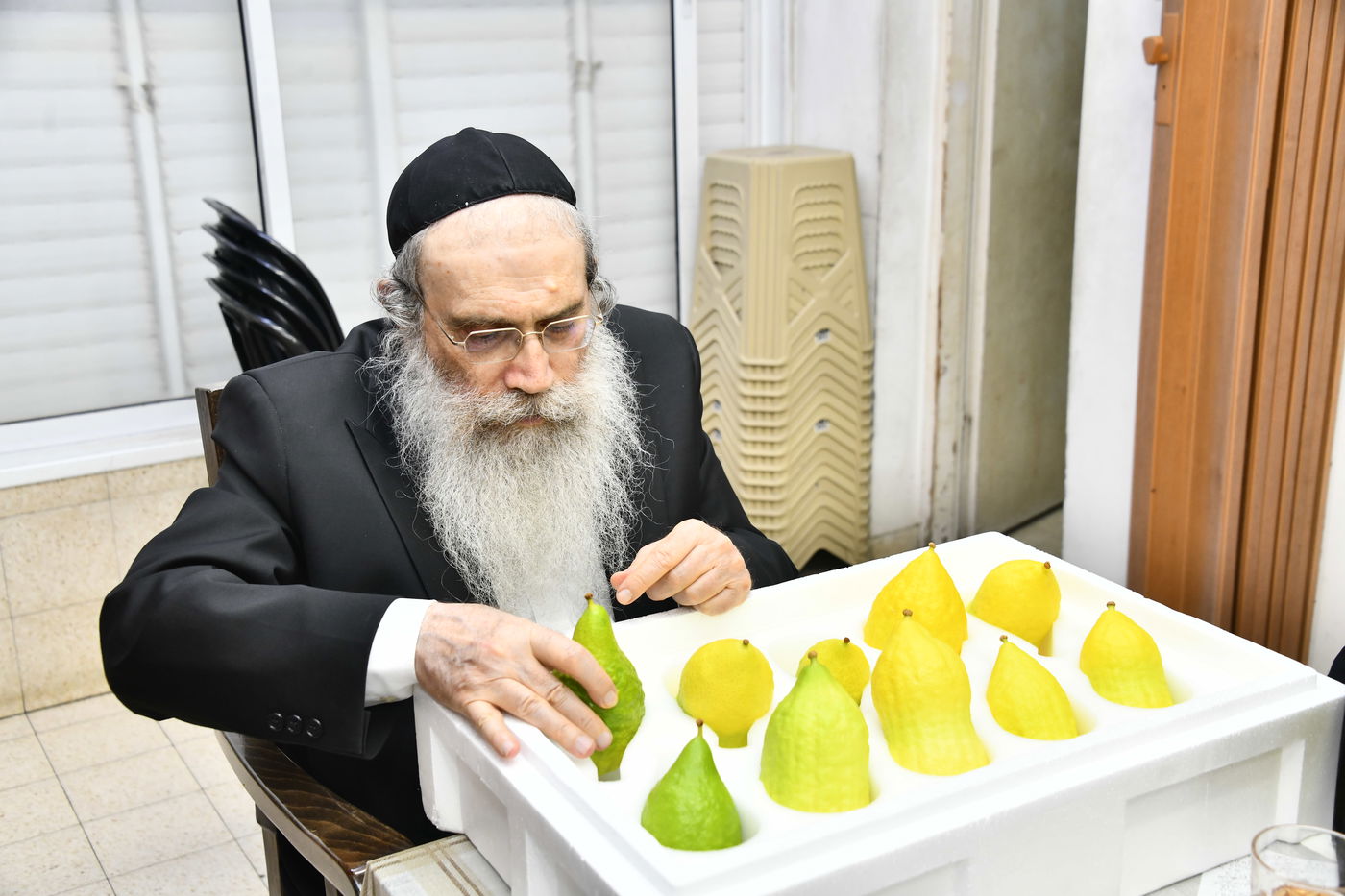 הגאון רבי שרגא שטיינמן בבדיקת אתרוגים