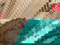 פעוט בבית החולים שניידר