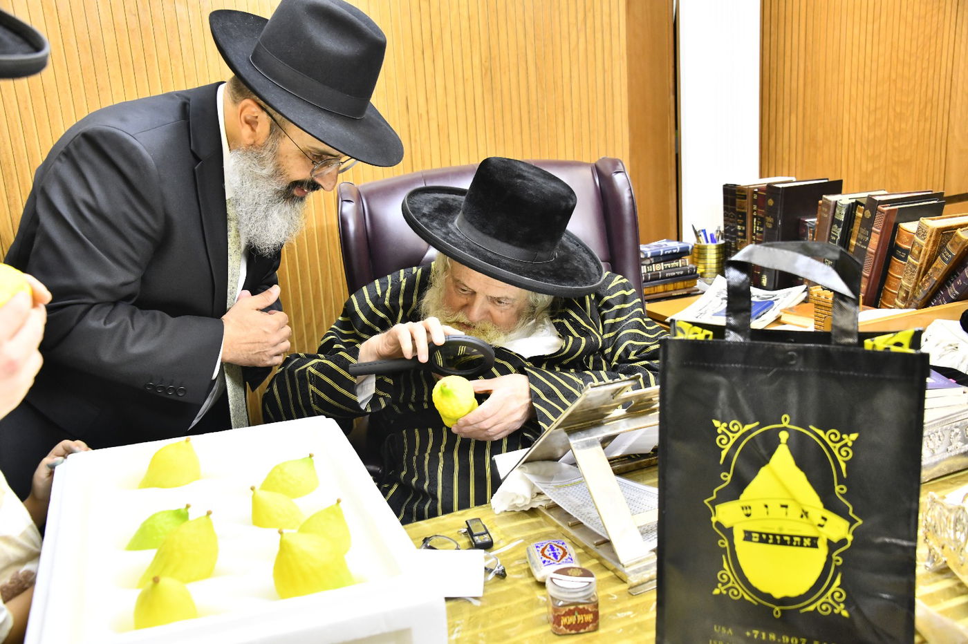 האדמו"ר מתולדות אברהם יצחק בודק אתרוגים