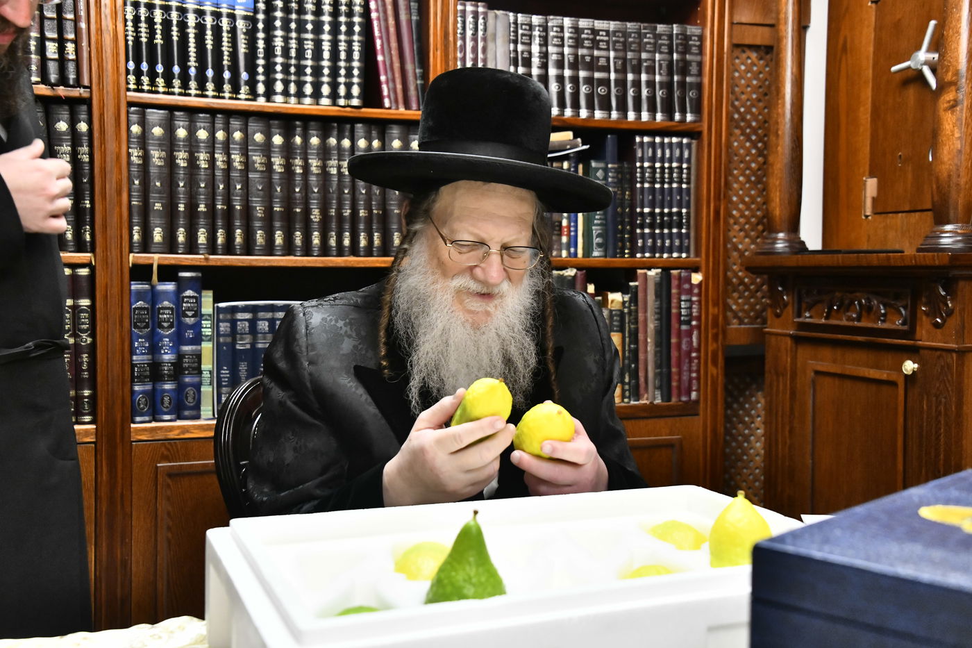 האדמו"ר ממודז'יץ בודק אתרוגים