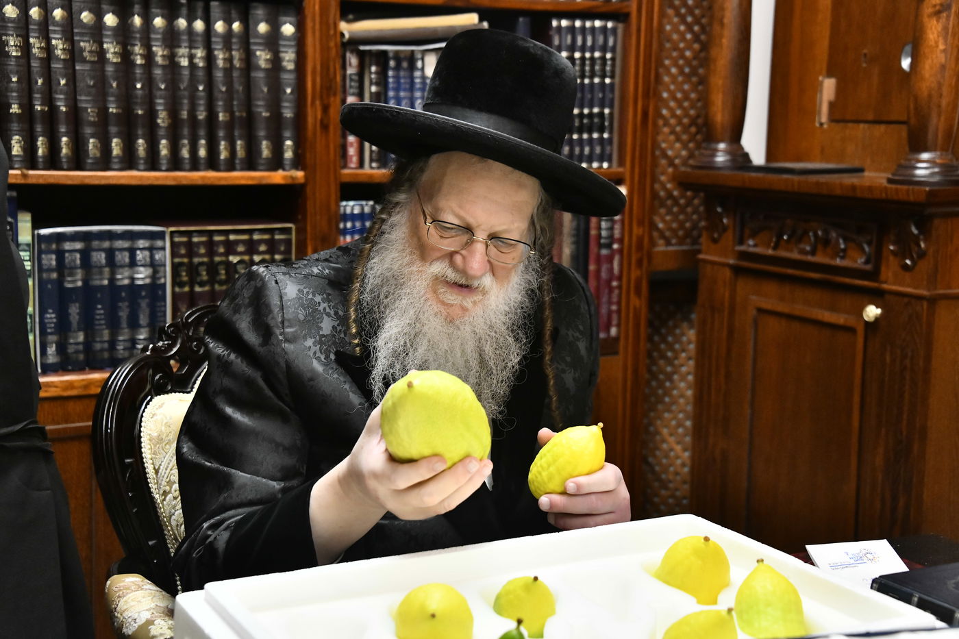 האדמו"ר ממודז'יץ בודק אתרוגים