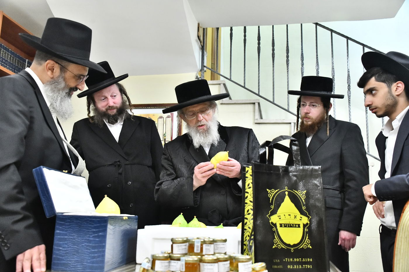 האדמו"ר מפינסק קרלין בבדיקת אתרוגים