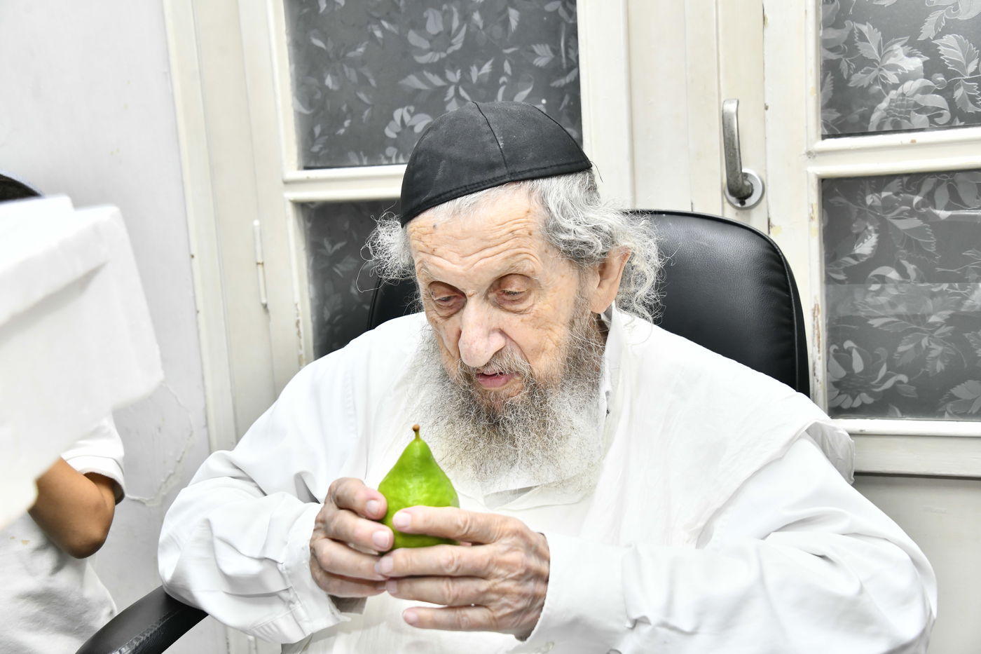 הגאון רבי דב לנדו בודק אתרוגים