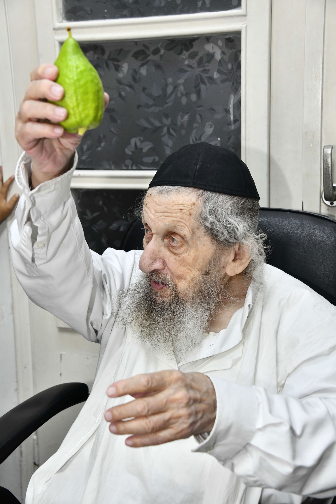 הגאון רבי דב לנדו בודק אתרוגים