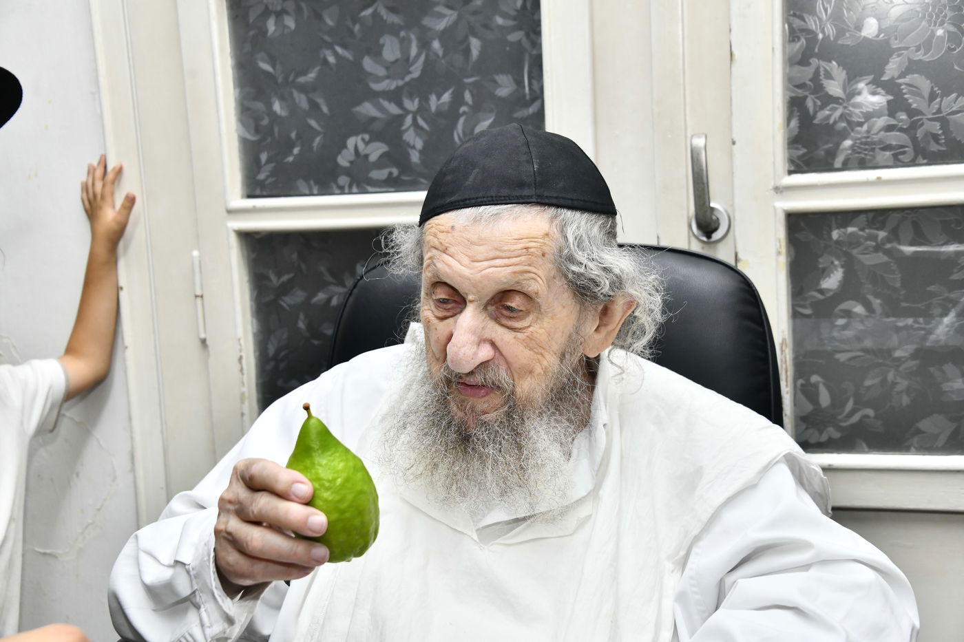 הגאון רבי דב לנדו בודק אתרוגים