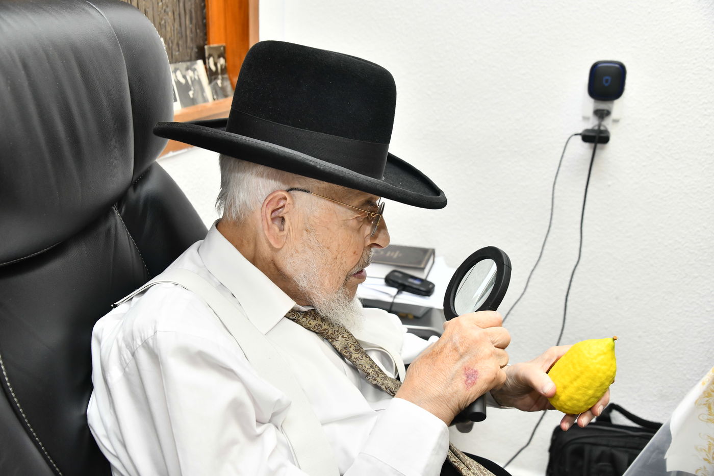 הגאון רבי יצחק אזרחי בבדיקת אתרוגים