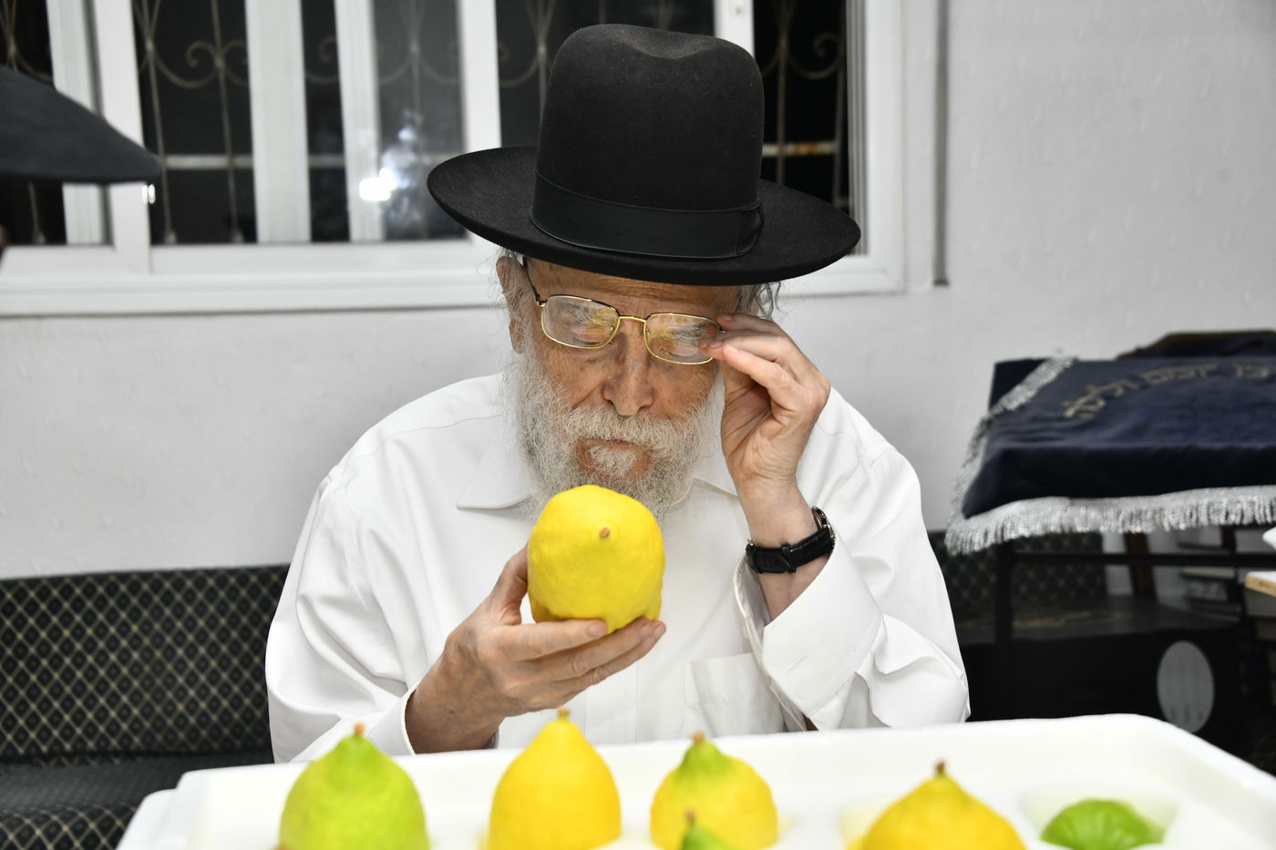הגר"מ אלישיב בבדיקת אתרוגים