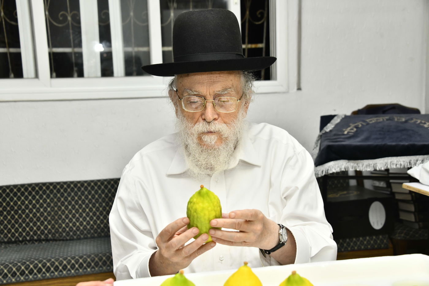 הגר"מ אלישיב בבדיקת אתרוגים