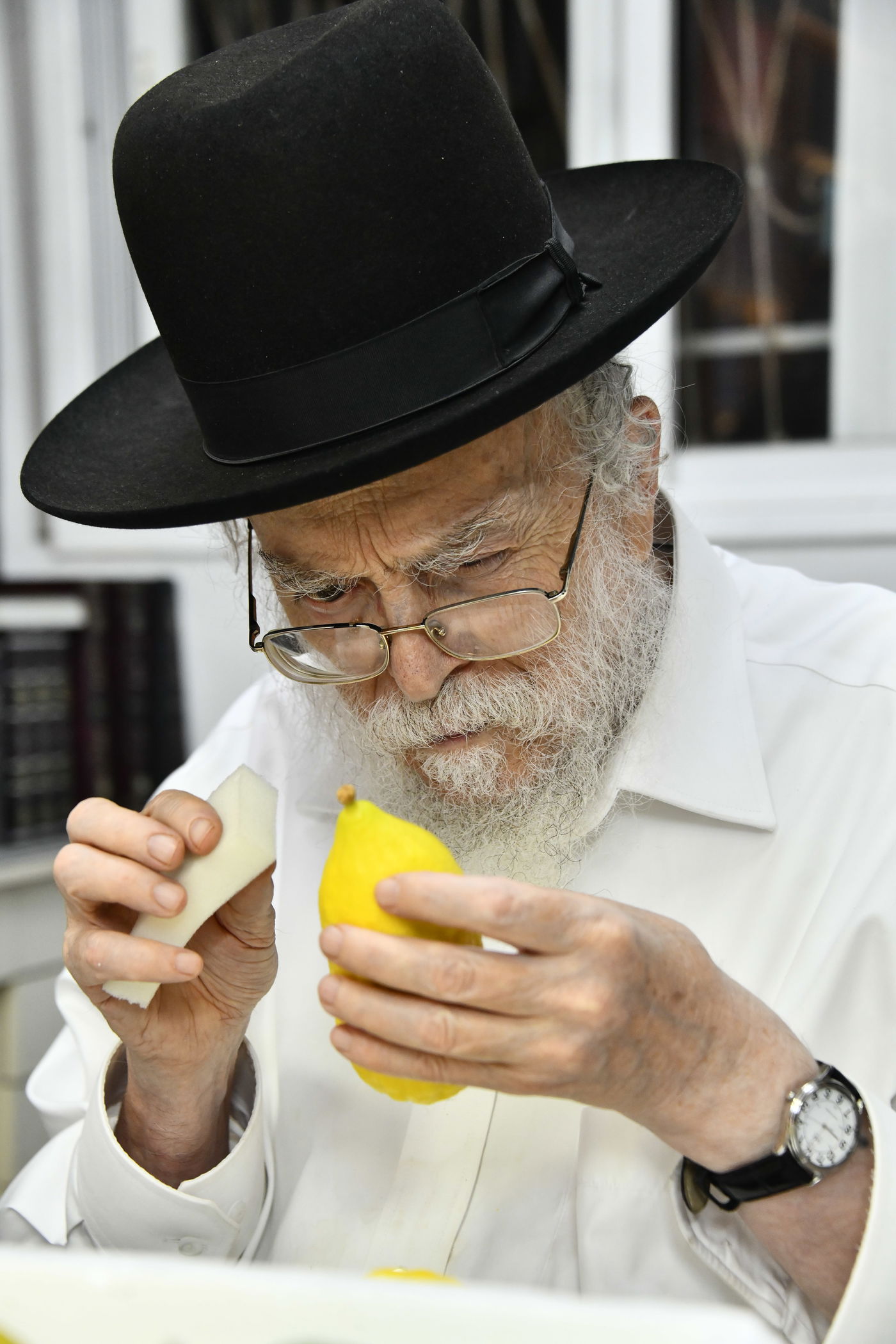 הגר"מ אלישיב בבדיקת אתרוגים