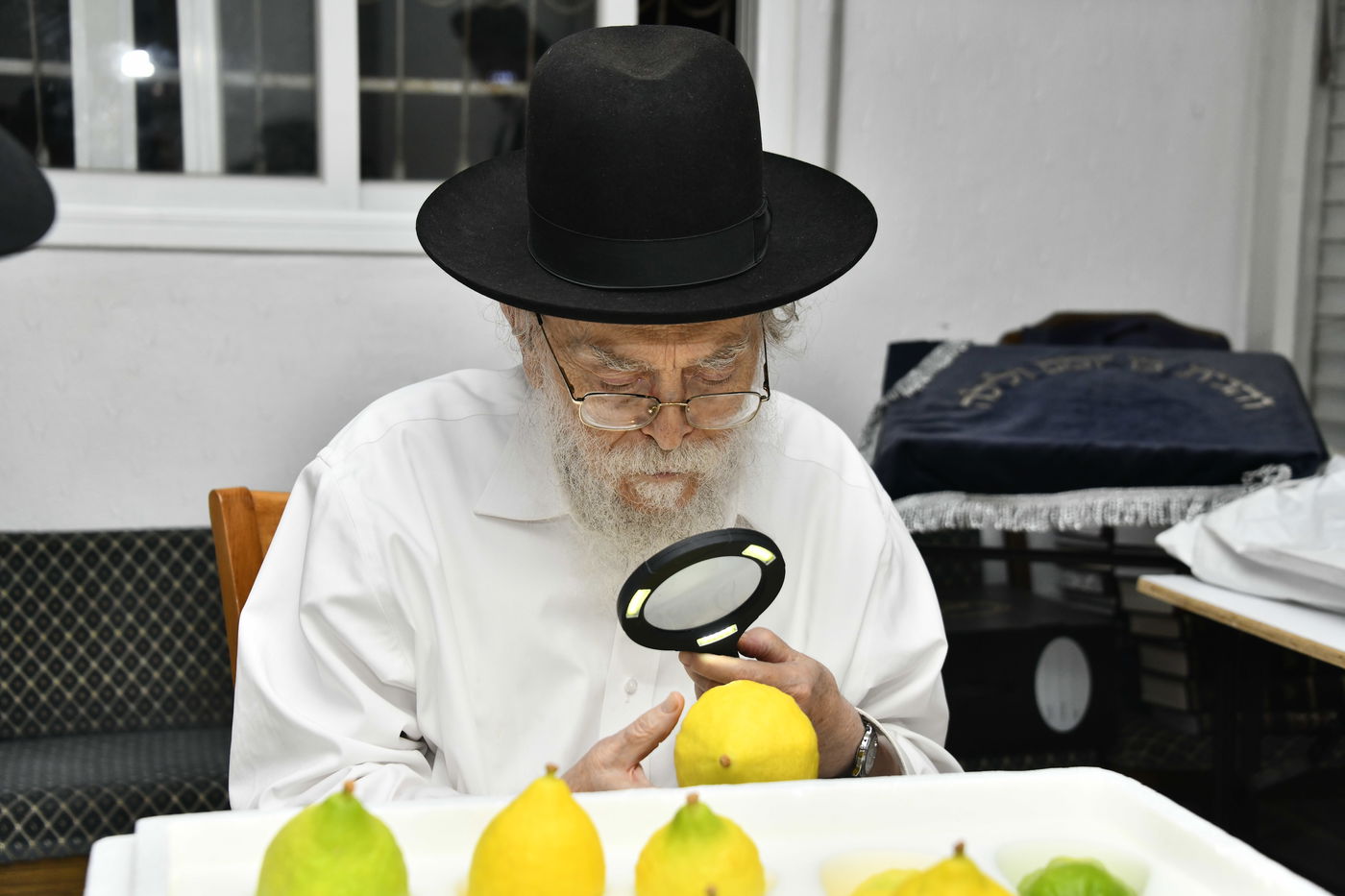 הגר"מ אלישיב בבדיקת אתרוגים